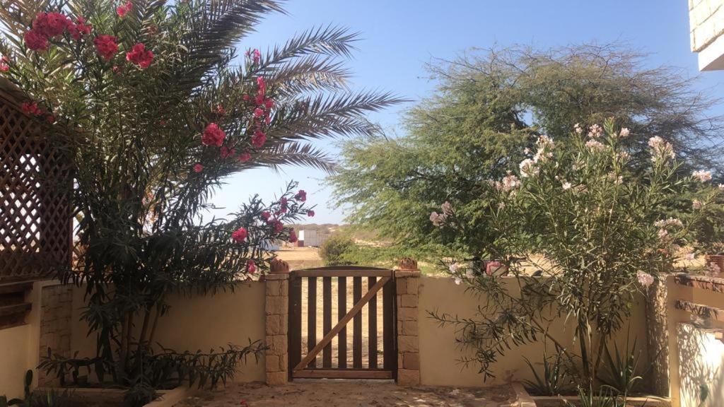 סאל ריי Attico Residence Costa Do Sol מראה חיצוני תמונה